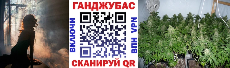 Канабис OG Kush  Уяр 